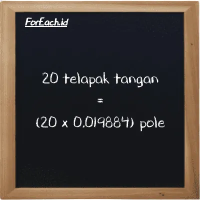 Cara konversi telapak tangan ke pole (h ke pl): 20 telapak tangan (h) setara dengan 20 dikalikan dengan 0.019884 pole (pl)