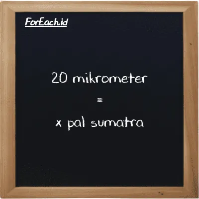 Contoh konversi mikrometer ke pal sumatra (µm ke ps)