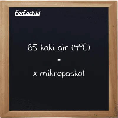 1 kaki air (4<sup>o</sup>C) setara dengan 2989000000 mikropaskal (1 ftH2O setara dengan 2989000000 µPa)