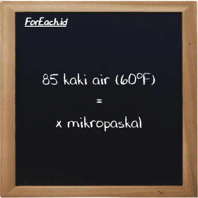 Contoh konversi kaki air (60<sup>o</sup>F) ke mikropaskal (ftH2O ke µPa)