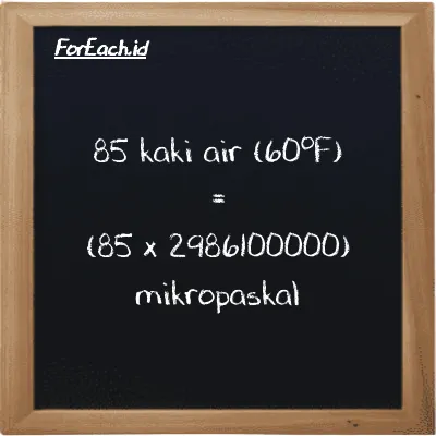 Cara konversi kaki air (60<sup>o</sup>F) ke mikropaskal (ftH2O ke µPa): 85 kaki air (60<sup>o</sup>F) (ftH2O) setara dengan 85 dikalikan dengan 2986100000 mikropaskal (µPa)